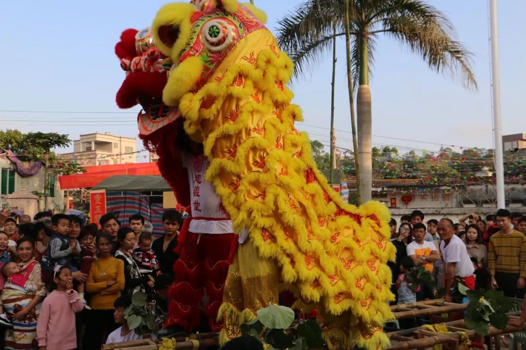 电白电城年例要火遍全国了!(附最新电白年例大全)