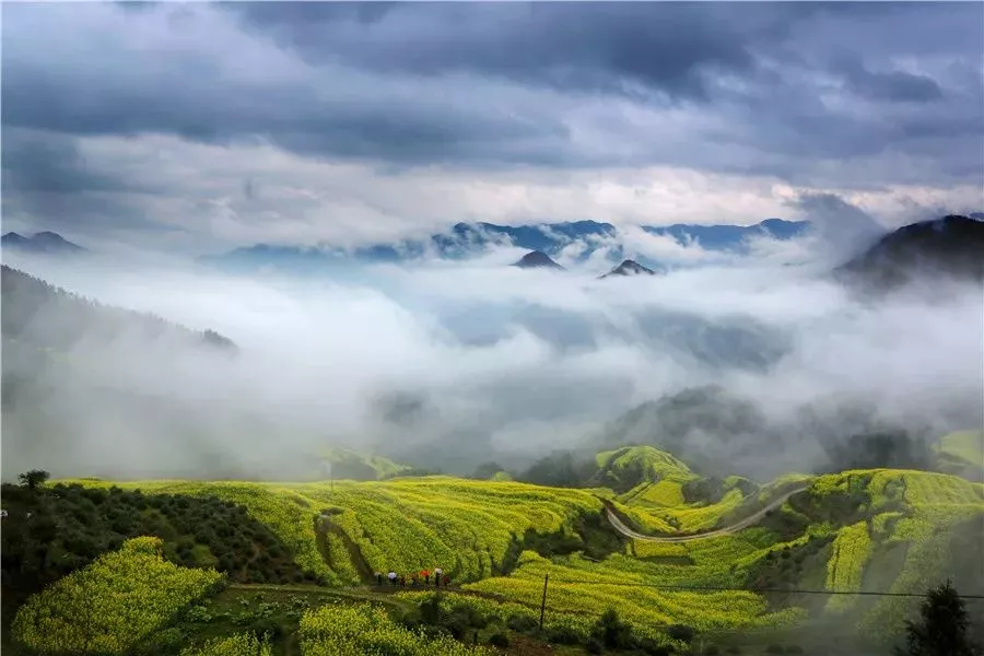 【歙縣雲上谷豐】一個掛在天邊的村落,這裡的油菜花美了一個春天_長陔