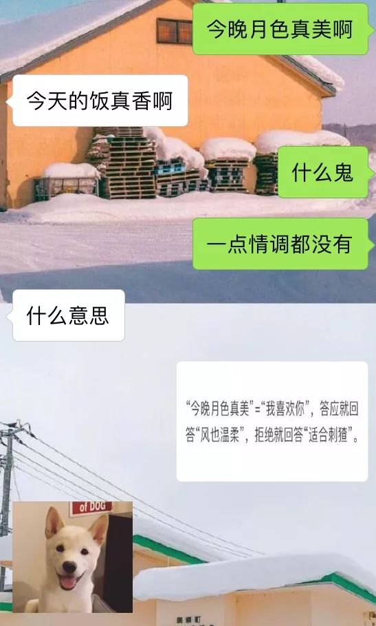 聊天室超實用表白暗語這麼浪漫真的不來get一下嗎