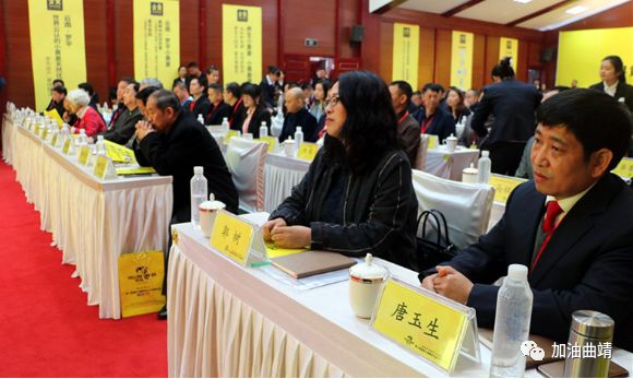 第二届国际小黄姜养生文化高峰论坛在罗平举行!
