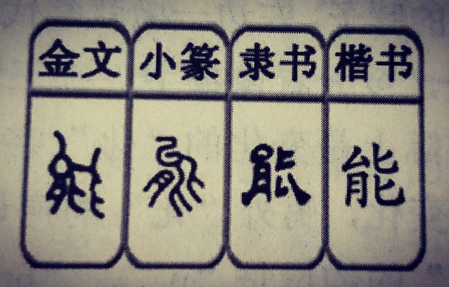 今日解字『熊:其实人家一点也不"熊!