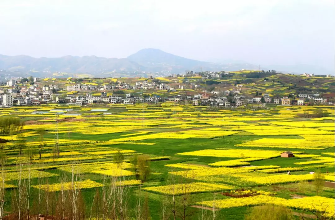 安康安康恒口八大金刚图片