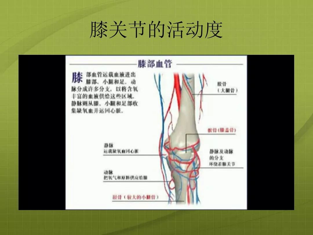 膝關節韌帶壎傷解剖及治療