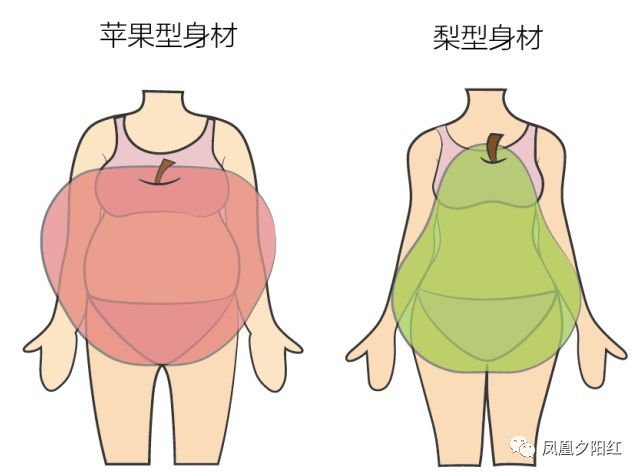 肥胖的六大类型图图片