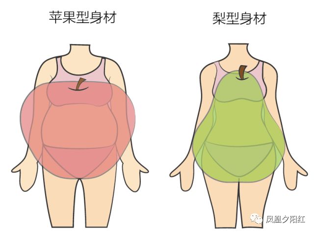 肥胖也分种类可怕的是腹型肥胖