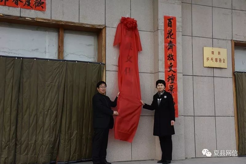 夏县文物局揭牌仪式在文化馆隆重举行,县政府党组成员杨海娟,县文化和