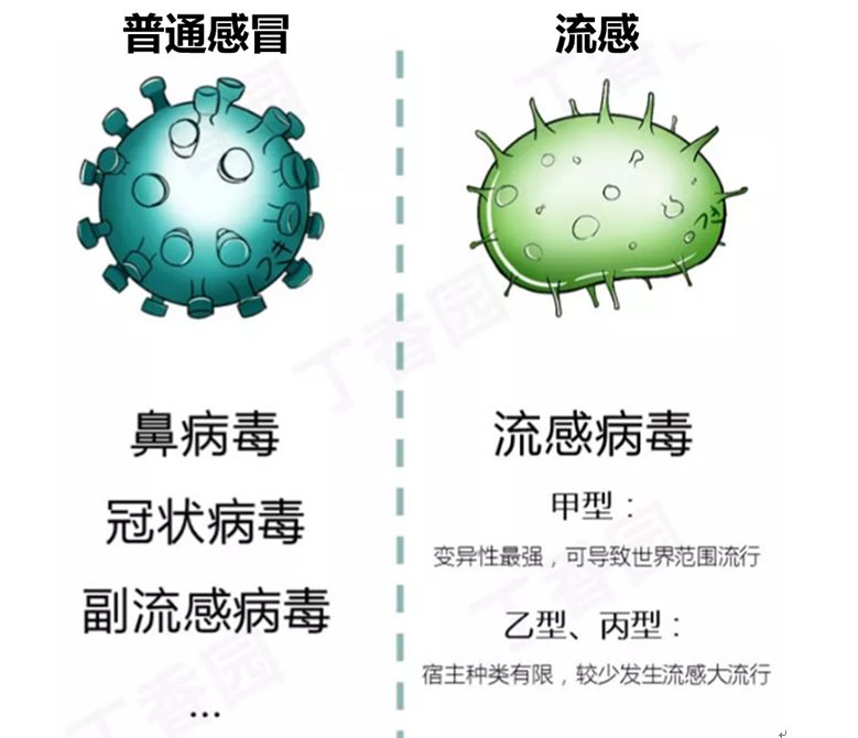 一首mv,獻給奮戰在抗擊甲流一線的白衣戰士_流感