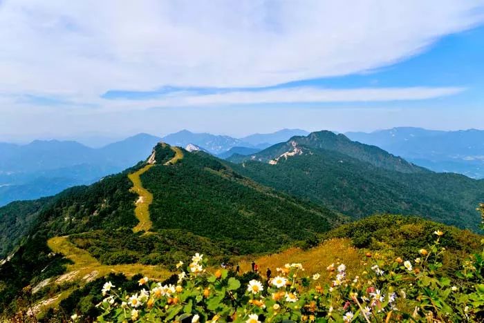 受雨雪天氣影響,湖北羅田天堂寨風景區於2月8日臨時封園