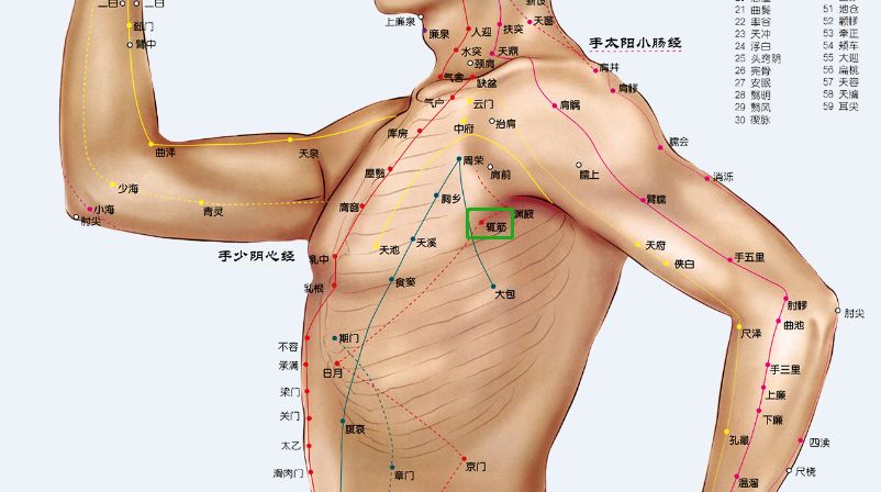 胸胁疼痛位置示意图图片
