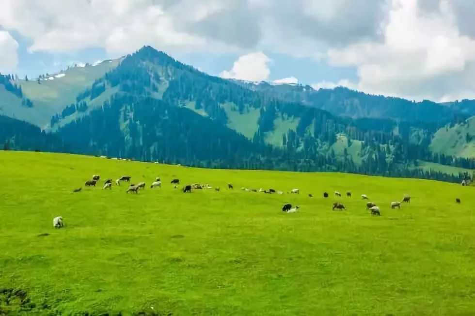 莫尼山照片图片