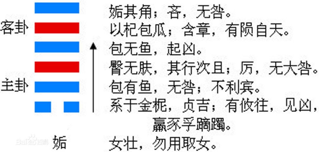 今日卦象 天風姤(姤卦)天下有風 上卦【今日姤卦】幸運數字:2,3財神