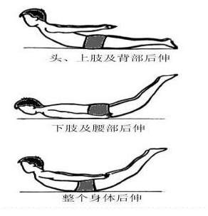 腰背肌锻炼方法图图片