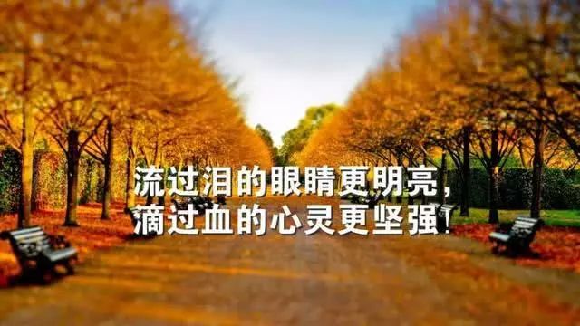 發朋友圈的唯美正能量雞湯語錄 句句經典勵志