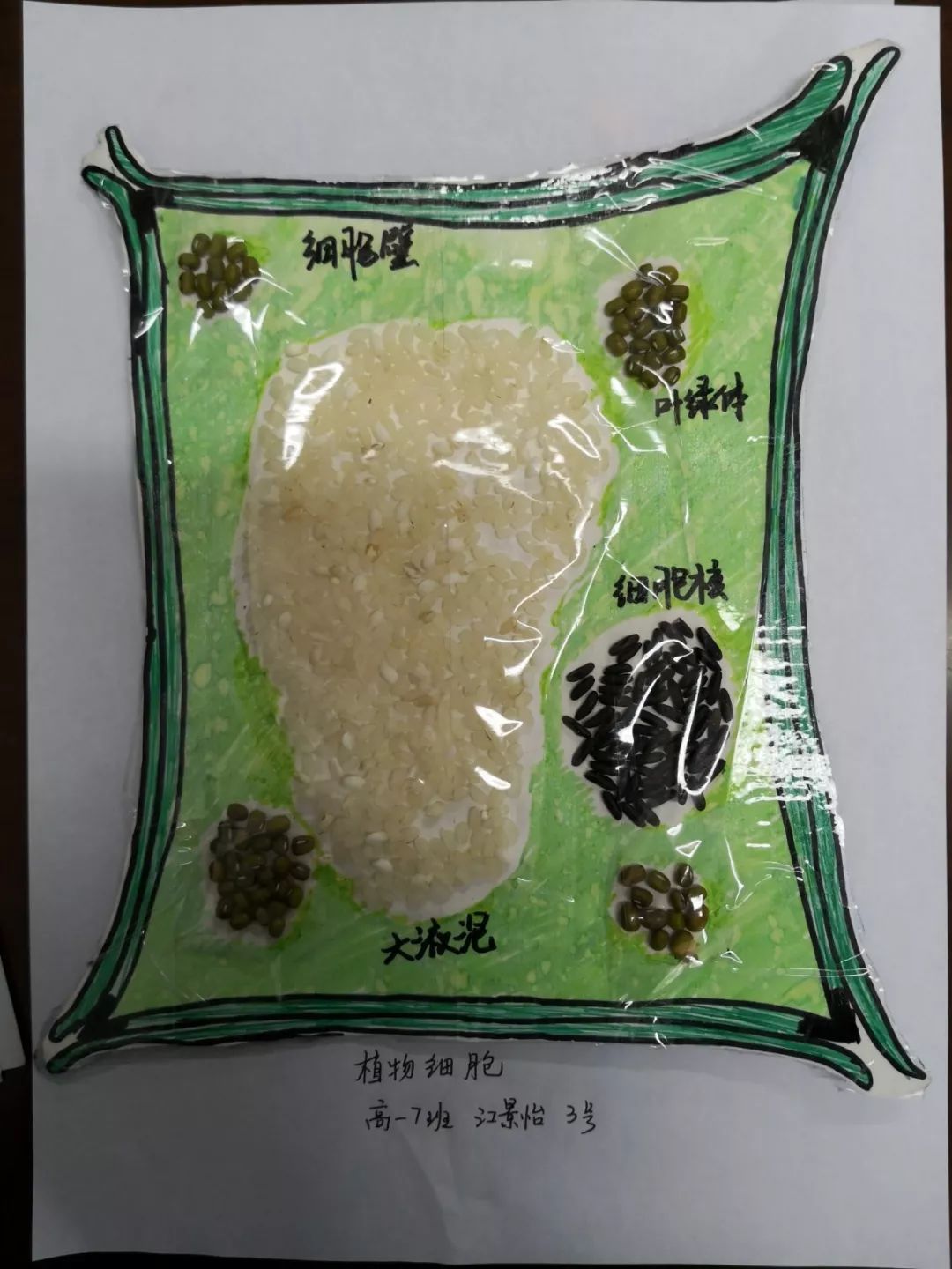 班級群裡炸開鍋平湖這所中學的高一學生竟製作出這樣的模型