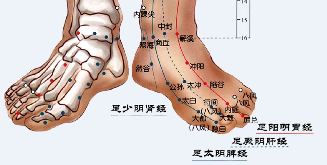 穴位 不想得糖尿病?试试调理体质