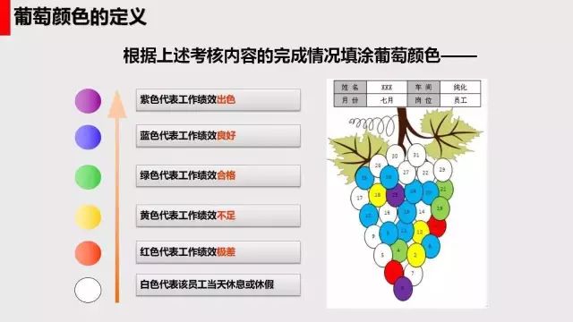 员工绩效葡萄图片制作图片