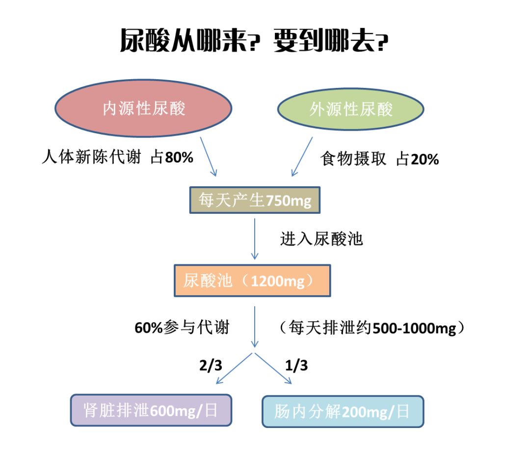 痛风,真的是过年吃出来的?