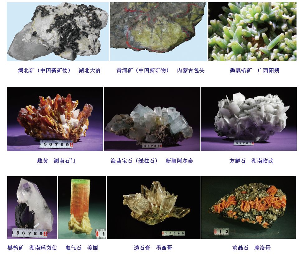 平台建立了化石,矿物,岩石,矿石标本数据库及查询系统,资源产地覆盖91