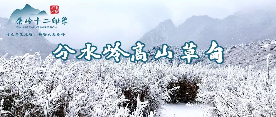 伴着前进的轻快步伐 独一份的秦岭户外徒步挑战 只有身在秦岭@38度