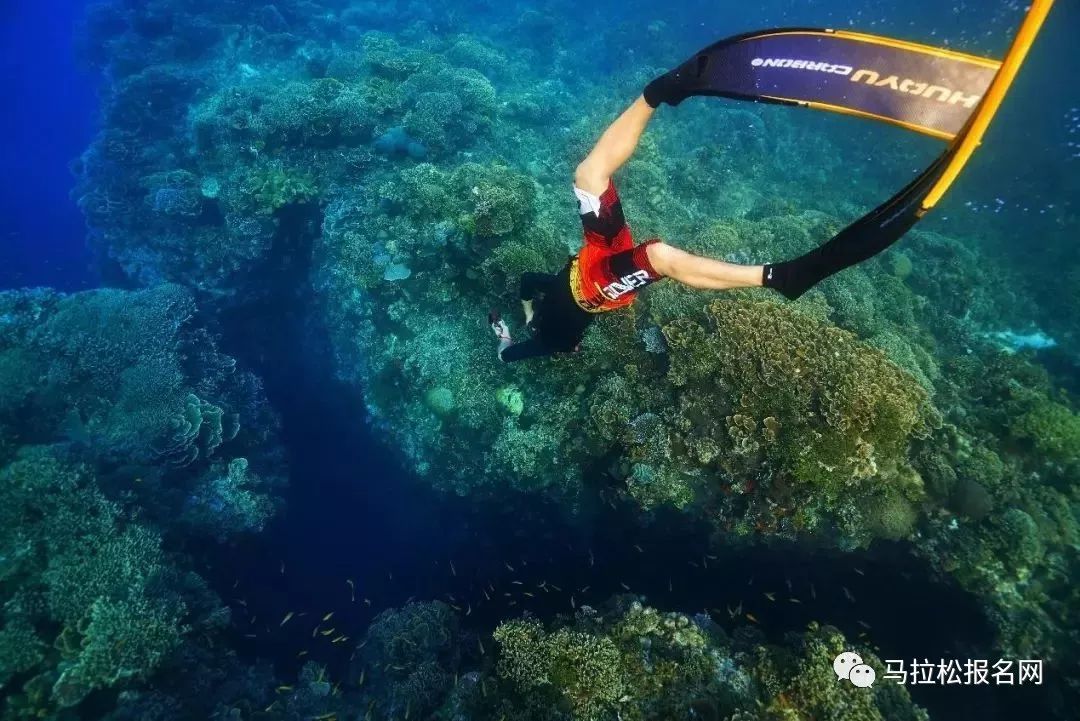 有學生的時候就上課,沒有學生的時候可以自己下海訓練,跟來自世界各地