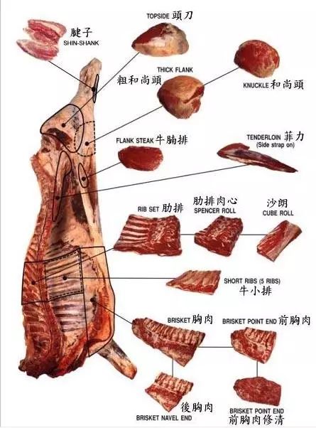 23年摸爬滚打的牛排博士,讲干货!