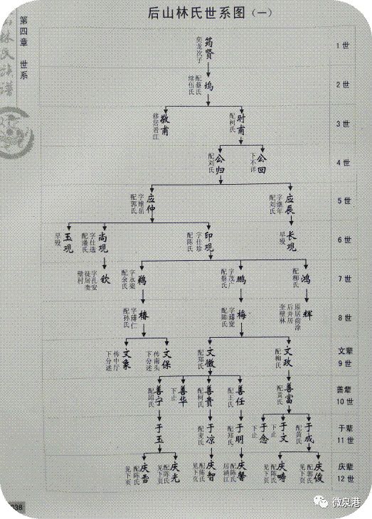 林姓的研究报告图片