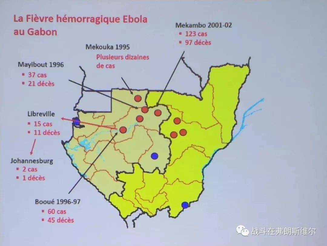 【援非紀實】加強地域瞭解 提高疾病認識——援加蓬第20批中國醫療隊