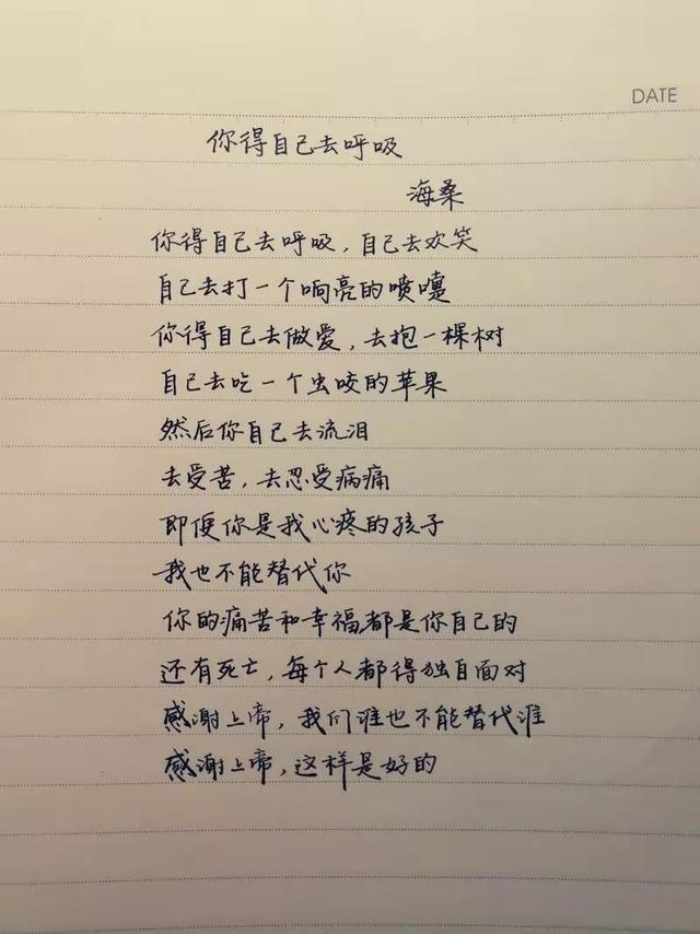 诗人王海桑的简介图片