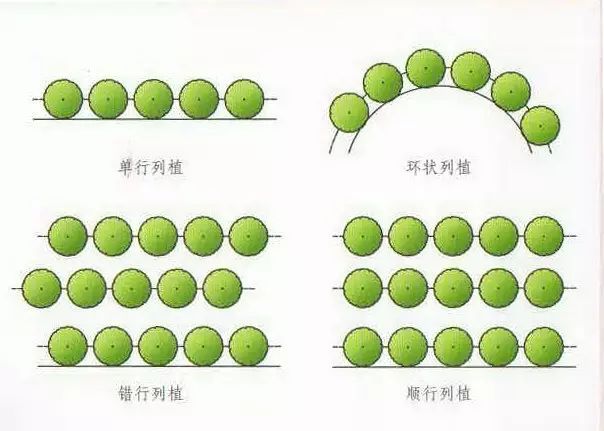 列植平面图图片