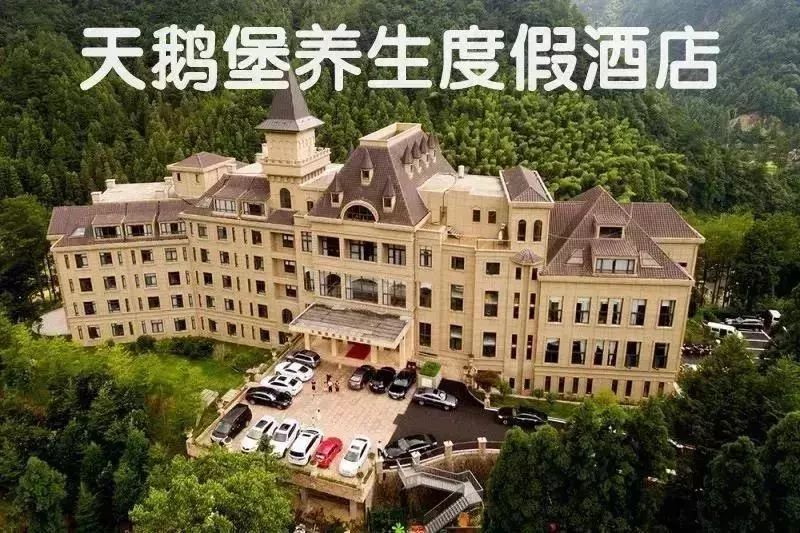 文成天鹅堡酒店图片