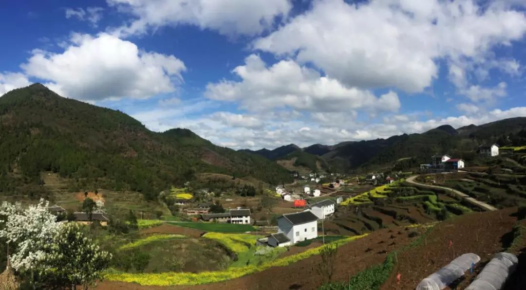 镇雄鱼洞乡公路规划图片