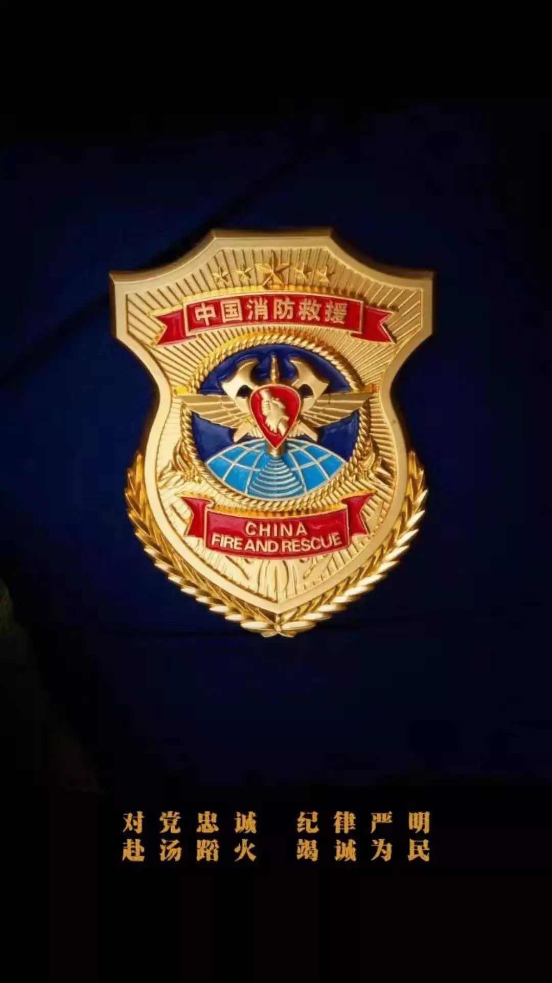 中国消防员徽章图片