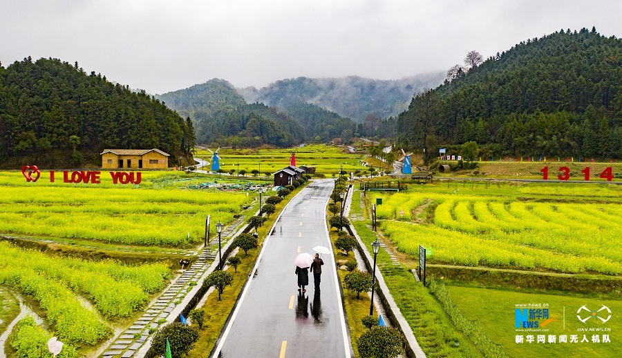 2月21日,江西省新余市渝水区下保村数百亩油菜花田仿若画卷,美不胜收.