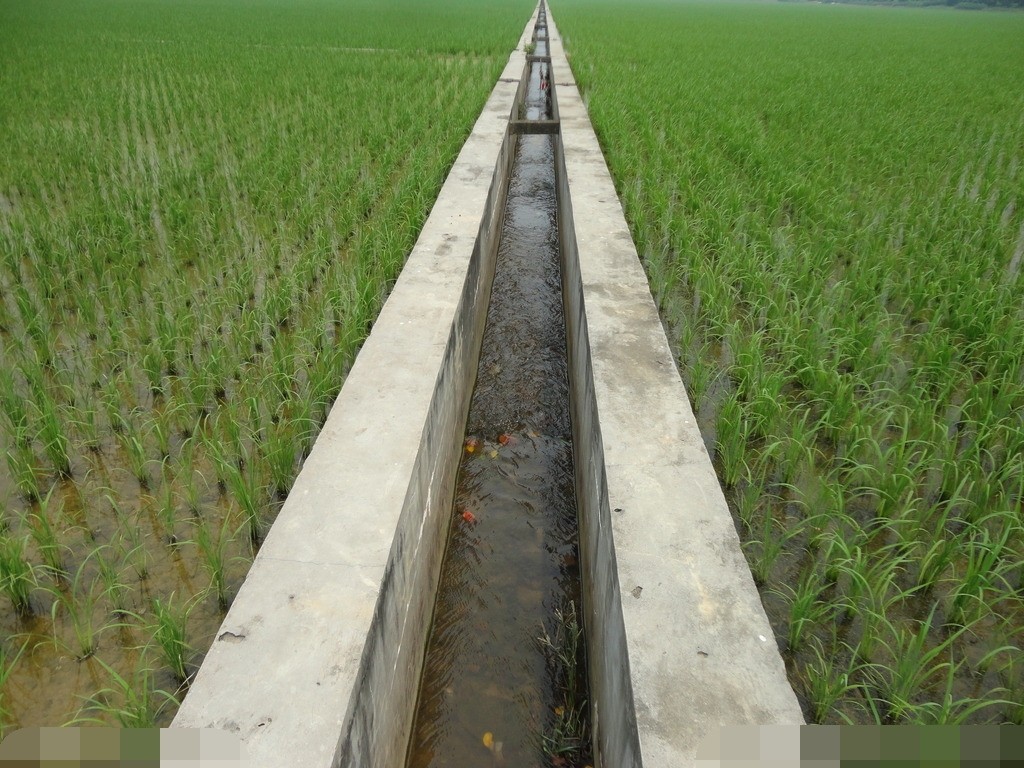 夏禹"尽力乎沟洫,所开的水沟,水渠在农田建设中是起排水作用还是起