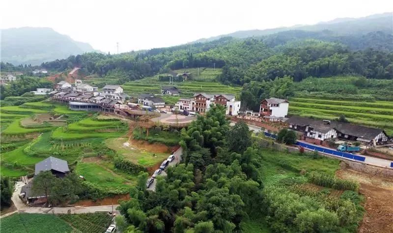 龙凤镇 新松村,凤池村 正东镇 阳坪村,西湖村 观兴镇 沙田村 向林镇