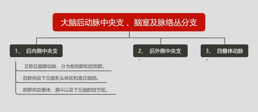 腦血管解剖思維導圖第二彈,來了!_動脈