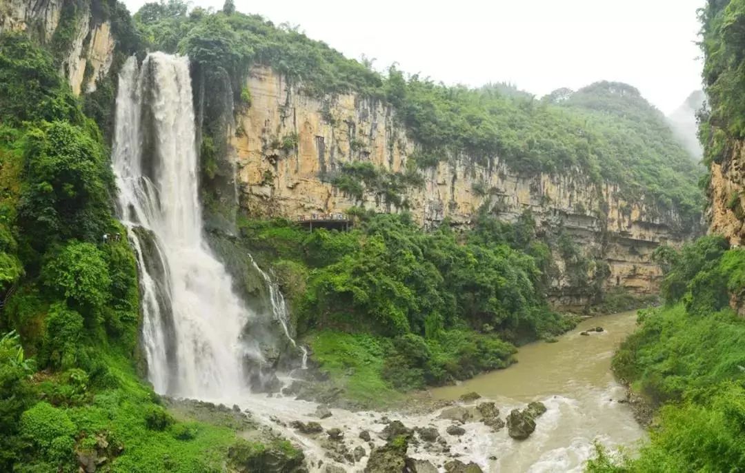 31317玩遍貴州黃果樹瀑布全國最大櫻花基地馬嶺河峽谷徒步萬峰林