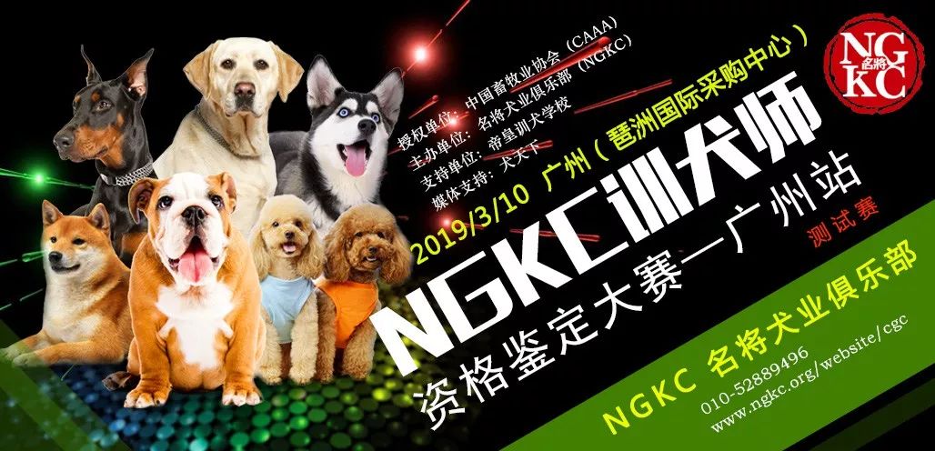 ngkc中國訓犬師資格鑑定大賽廣州站測試賽