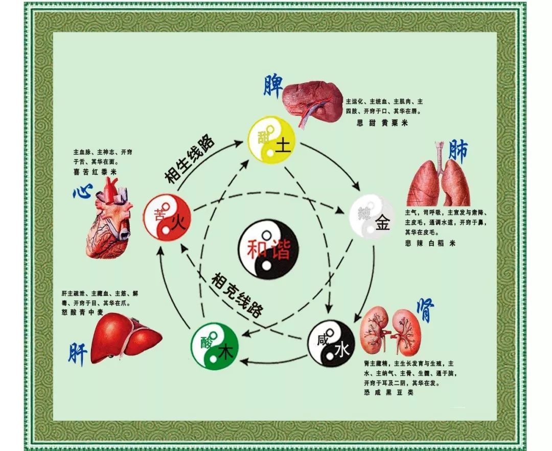 五脏 肝 心 脾 肺 肾五行 木 火 土 金 水五音 角 徵 宫 商 羽