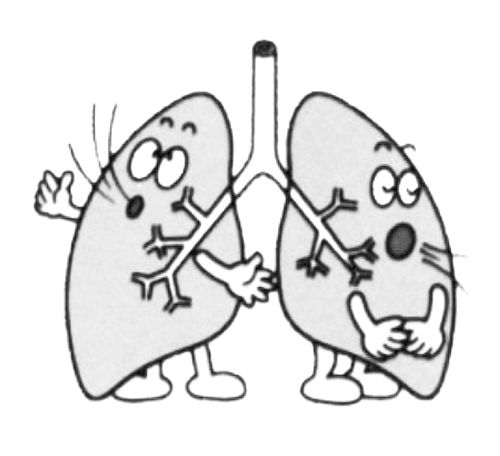 怎样分清肺大泡和肺气肿?平时应该注意些什么?