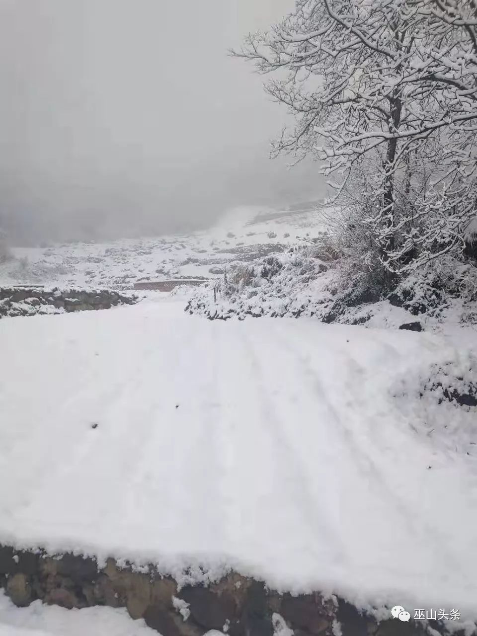 白茫茫一片大雪图片图片