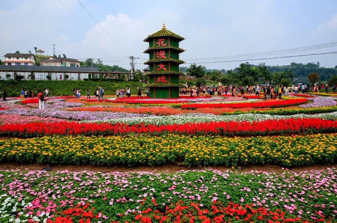 重庆踏青赏花的地方图片