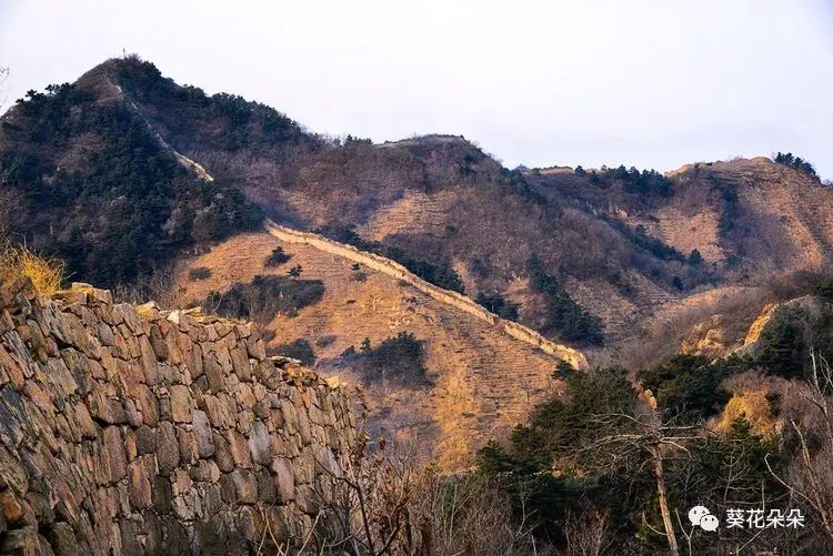 旅游 正文 图文:韩明 侯家寨乡罗文峪村西北至前后杖子村口门子段长城