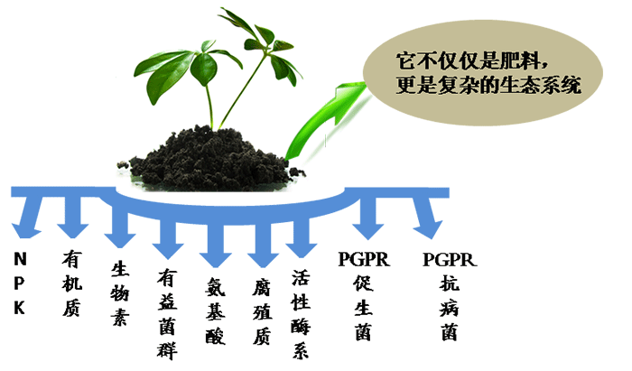 可分为以下5类1,有固氮作用的菌种:包括根瘤菌,固氮菌,固氮蓝藻等;2