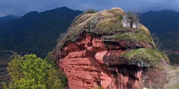 【杜鵑怒放】 3月3日(週日)※始興馬市紅石寨杜鵑開滿山,遠逕豆科紫荊