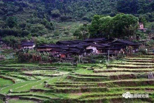 蒋坑彭坑村(西滨,坪坑村(洋中,枣坑村(溪尾,坑头村(八字桥,蒋坑村