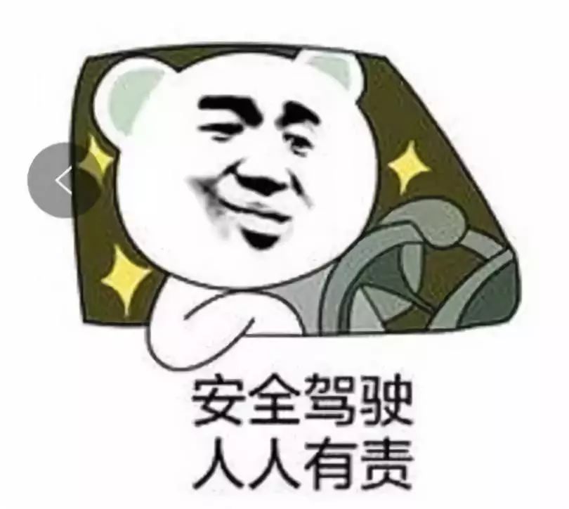 司机们请注意开车时千万别调戏路上的摄像头