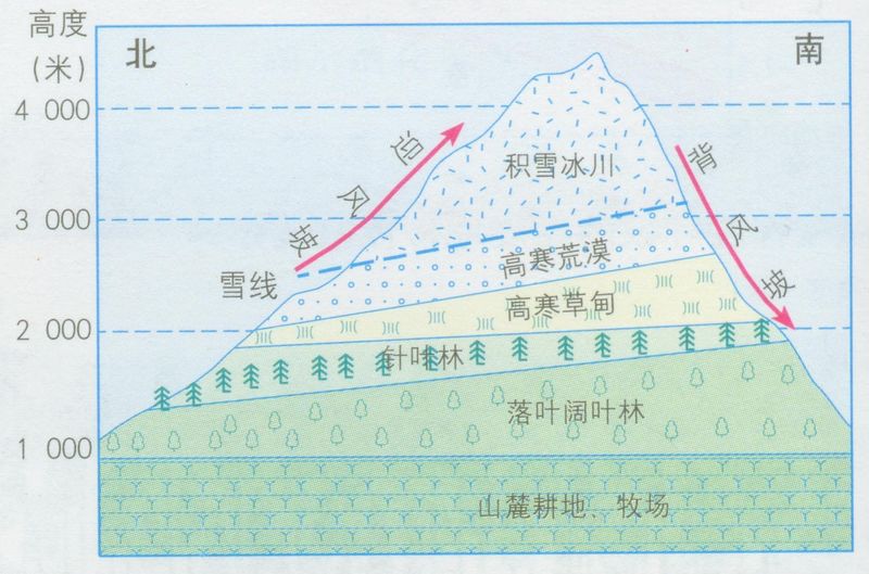 垂直地域分布图片