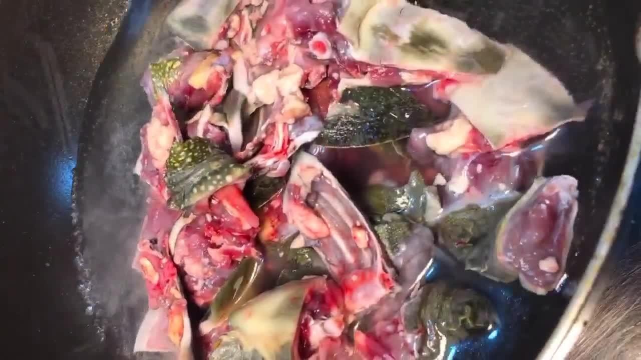 再起一鍋,將剁好的甲魚肉冷水下入鍋中,把肉塊焯至發白變色後立即撈出