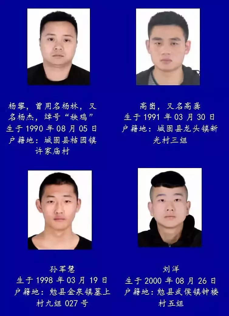 芜湖县黑恶人员名单图片